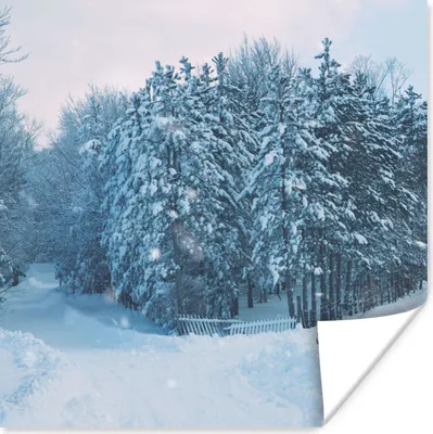 Produktbild von MuchoWow® Poster Wald - Schnee - Winter 75x75 cm - Wand Dekoration