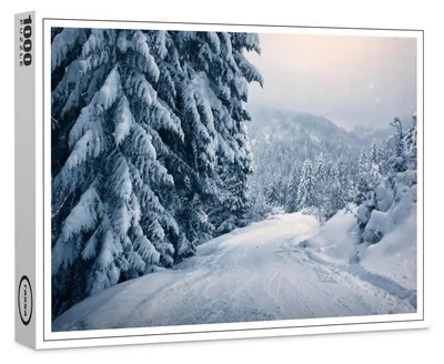 Image de Puzzle haut de gamme raxxa « Winterwunderland », 1 000 pièces