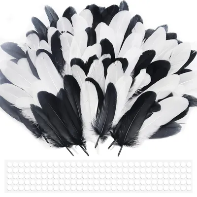 200 Bastelfedern, Gänsefedern, schwarz/weiß, 10-17 cm