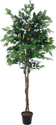 Produktbild von artplants.de Kunstpflanze Ficus Benjamini, 1850 Blätter, grün, 210cm - Künstlicher Ficus - Deko Pflanze