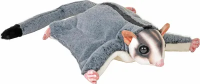 Produktbild von Wild Republic Zuckerhornchen Stofftier - Plusch - 30 cm - Nachttier