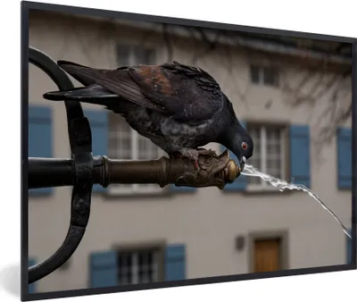 Produktbild von MuchoWow® MuchoWow® Gerahmtes Poster Taube - Getränk - Vogel 60x40 cm - Poster mit zchwarzem Bilderrahmen - Printing - Wanddeko Schlafzimmer