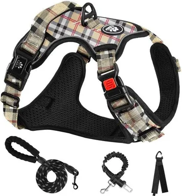 Productafbeelding van Verstelbaar Harnas voor Kleine Honden met Leash