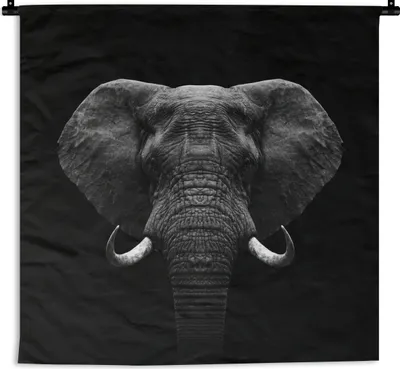 Produktbild von MuchoWow® Wandteppich Wandbehang Tiere - Elefant - Porträt - Schwarz - Weiß 90x90 cm Tapisserie Dekoration Wandtuch - Wandaufhänger
