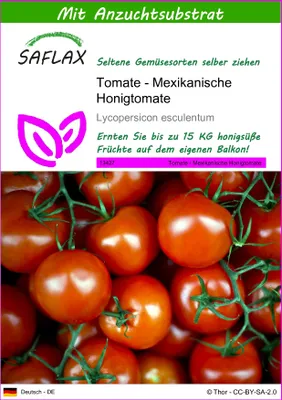 Produktbild von SAFLAX  - Tomate - Mexikanische Honigtomate - Lycopersicon esculentum - 10 Samen - Mit keimfreiem Anzuchtsubstrat