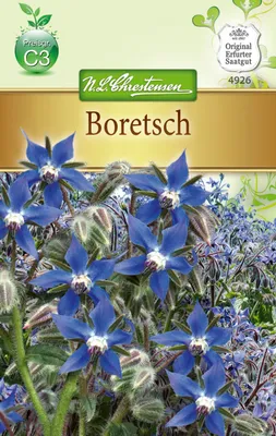 Produktbild von Boretsch | Borretschsamen von N.L. Chrestensen