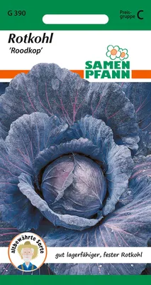 Artikelbild 1 von 'Rotkohl Roodkop' aus der Kategorie Rotkohlsamen