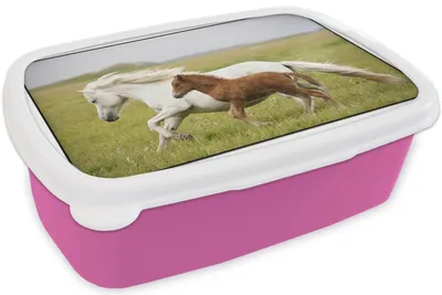 Produktbild von KitchenYeah® Lunchbox Brotzeit Brotdose 17x11 cm Pferde - Tiere - Gras Kinder Brotzeitdose - Lunchpaket - Brotkasten  - Sandwich Box