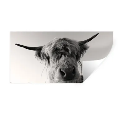 Produktbild von MuchoWow® Wandtattoo Wandsticker Wandaufkleber Schottischer Highlander - Schwarz - Weiß - Tiere 160x80 cm Selbstklebend und Repositionierbar - Sticker - Dekorfolie