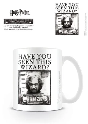 Produktbild von Pyramid International Harry Potter Tasse Wanted MG24173