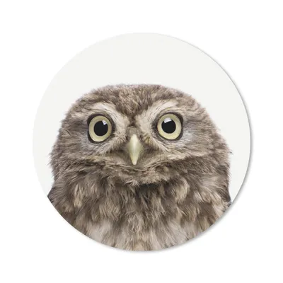 Produktbild von MuchoWow® Mauspad Mousepad Eule - Eule - Porträt - Braun - Vogel - Jungen - Mädchen 40x40 cm - Mousepads - Maus Mat - Pad - Mausunterlage - Schreibtisch Accessoires