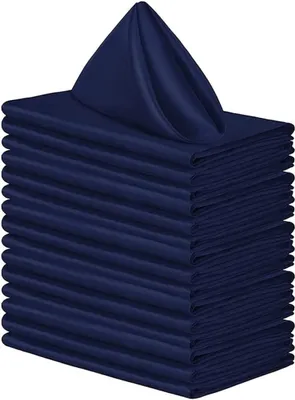 Obrázok produktu pre Balenie 20 ks damaškových látkových obrúskov 43 x 43 cm, obrúsky látkové a saténové obrúsky mäkké, záhyby obrúskov na dekoráciu stola, narodeninovú oslavu, svadobnú výzdobu