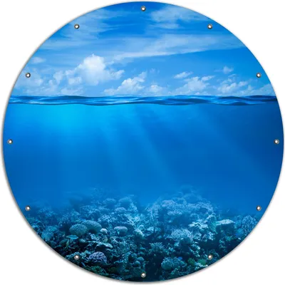 Produktbild von Wallario rundes Outdoor-Poster für Garten oder Balkon, Motiv Unterwasserwelt Meer, 120 cm Durchmesser
