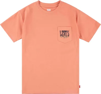 Produktbild von T-Shirt Levi's 8EM301-N8G für Jungen