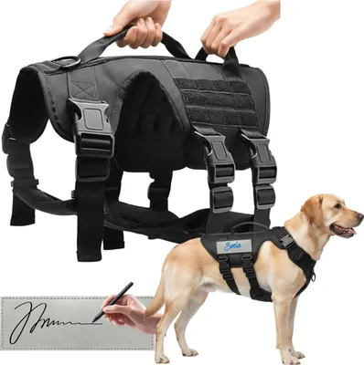 Produktbild von Wobell | Spazierengurt für Hunde mit verstellbaren Griffen, bequem, L Premium-Gurtzeug L, verstellbares Hundegeschirr mit 2 Griffen, gepolstert