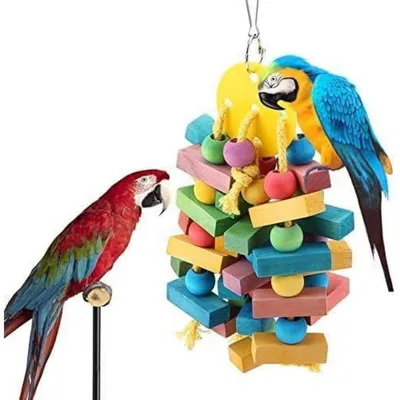 Productafbeelding van Houten speelgoed voor papegaaien, geschikt voor kleine tot middelgrote vogels, met ketting