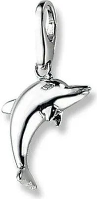 Produktbild von Charm Giorgio Martello Milano Delphin Silber Onesize