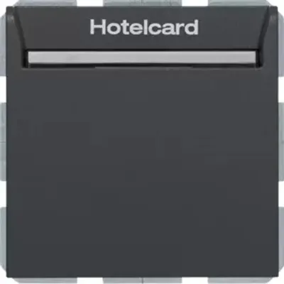Image de Berker 16409906 Interrupteur à relais avec pièce centrale pour Hotelcard anthracite, mat Berker S.1/B.3/B.