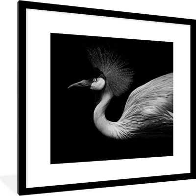 Produktbild von MuchoWow® Gerahmtes Poster Kranich - Schwarz - Weiß - Vogel - Tiere 40x40 cm - Poster mit Schwarzem Bilderrahmen Wandposter Rahmen Foto Bilder - Poster - Plakat im Rahmen