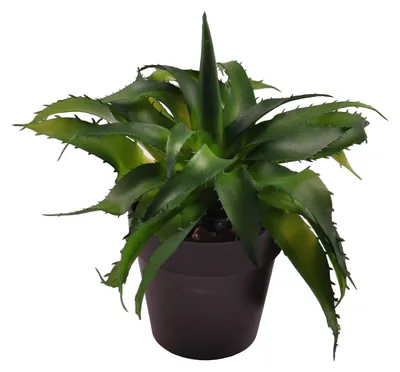 Image de Aloe Vera artificiel 18cm dans un pot de fleurs Plante d'intérieur décorative