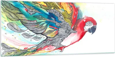 Produktbild von Bilder auf glas - Parrot Flügel Federn Natur - 120x50cm - Glasbilder - Wandbilder - Kunstdruck - zum Aufhängen bereit - Wanddekoration aus Glas - Glas Bilder - Wandbild auf Glas - GAB120x50-3008