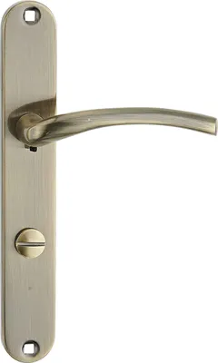 Productafbeelding van Agra Patina toiletgreep met lange plaat