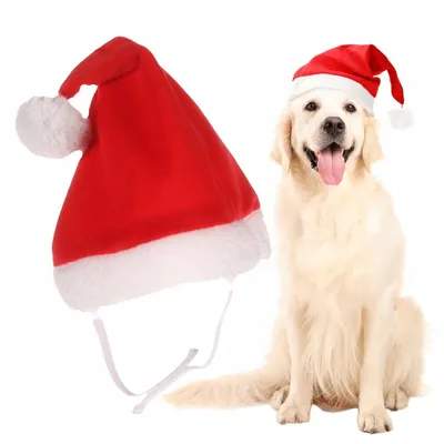 A red and white Santa hat for dogs is shown next to a golden retriever wearing a Santa hat.