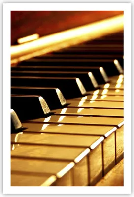 Produktbild von Poster - Poster ohne Rahmen - Klavier Musik Konzert - 61x91,5 cm - Wand Bild - Wanddeko - Wandbilder - Kunstposter - Wandposter - Bilder - Kunstdruck - Wanddekoration - Wandbild - P2XPA61x91-2200