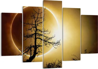Produktbild von Bild auf Leinwand - Leinwandbild - 5 Teile - Sonnenfinsternis die Sonne Baum - 150x100cm - Wand Bild - Wanddeko - Wandbilder - Leinwanddruck - Bilder - Wanddekoration - Leinwand bilder EA150x100-4349