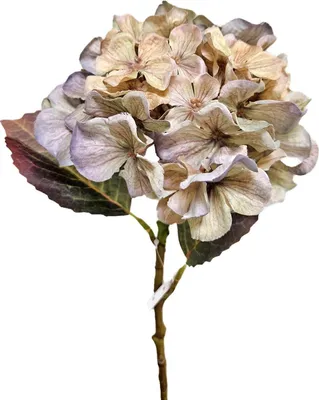 Produktbild von artplants.de Kunstblume Hortensie NYNMAR, grün-lila, 50cm, Ø18cm - Künstliche Hydrangea