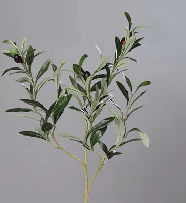 Produktbild von Kunstblume Olivenzweig 74 cm