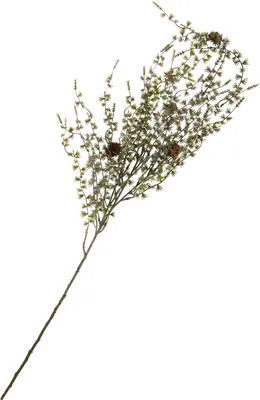 Produktbild von Lärchen Zweig, geeist mit Zapfen, L 97 cm