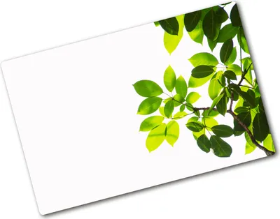 Produktbild von Tulup Glas Herdabdeckplatte - 80x52 cm - Glaskeramikkochfeld-Abdeckung Spritzschutz Glasabdeckplatte - Einteilig - Blumen & Pflanzen - Blätter - Grün