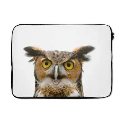 Produktbild von MuchoWow® Laptop Hülle 14 ZollEule - Vogel - Porträt Laptoptasche - Laptoptasche - Stoßsicher - Schutzhaube