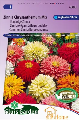 Produktbild von Zinnia Chrysantheme Mix Samen - Einjährige Schnittblume 90 cm - Bunte gefüllte Blumen für Garten und Sträuße