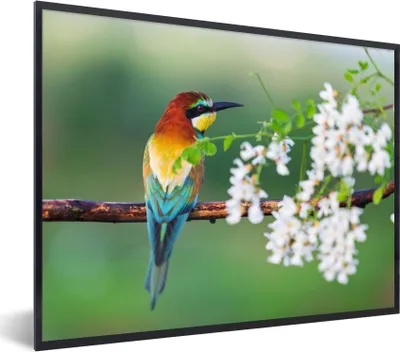 Produktbild von MuchoWow® Gerahmtes Poster Vogel - Bienenfresser - Blumen 80x60 cm - Poster mit Schwarzem Bilderrahmen Wandposter Rahmen Foto Bilder - Schwarzem - Mit Gestell
