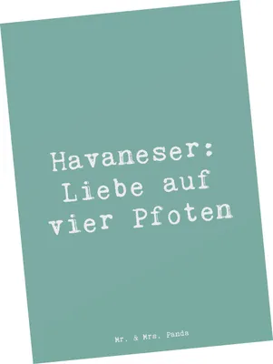 Produktbild von Mr. & Mrs. Panda Postkarte Spruch Havaneser Liebe - Meeresbrise - Geschenk, Hunde, Eigenschaften, Ansichtskarte, hypoallergen, bildkarte, Hunderassen Pflege, Charakter