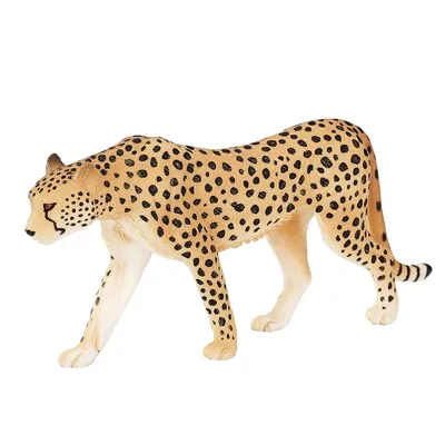 Image de Mojo Wildlife Homme guépard - 387197