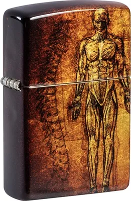 Produktbild von Zippo Feuerzeug Anatomy Design Chrom, USA 2021