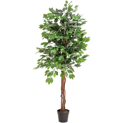 Obrázek produktu pro EUROPALMS Ficus-Benjamini vícekmenná umělá rostlina, 150 cm