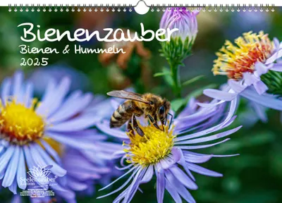 Produktbild von Bienenzauber Bienen und Hummeln DIN A3 Kalender für 2025 - Seelenzauber