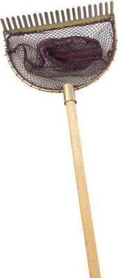 Image de Épuisette Evia Rake noire à 21 dents