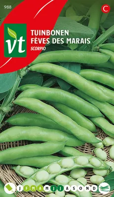 Productafbeelding van Gartenbohnen Skorpion zaden - ongeveer 40 gram | VT_988