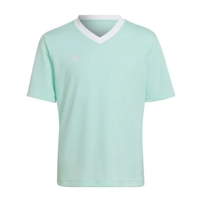 Image de Adidas Tshirts Entrada 22, HC5078, Taille : 159