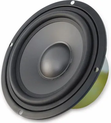 Zdjęcie produktu dla Głośnik średniotonowy ROCKWOOD 120 W, 215 mm, 8 Ohm