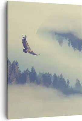 Produktbild von Bild auf Leinwand - Leinwandbild - Einteilig - Vogel Natur Wald - 50x70cm - Wand Bild - Wanddeko - Wandbilder - Leinwanddruck - Kunstdruck - Wanddekoration - Leinwand bilder - Wandbild - PA50x70-3853