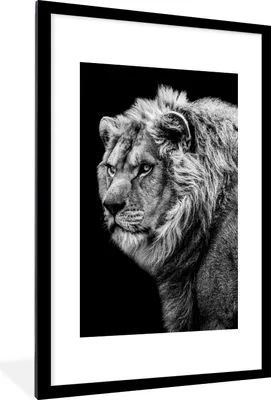 Produktbild von MuchoWow® Gerahmtes Poster Löwe - Porträt - Wildtiere - Schwarz - Weiß 60x90 cm - Poster mit Schwarzem Bilderrahmen Wandposter Rahmen Foto Bilder - Dekoration - Wandposter Wohnzimmer - Hochwertig