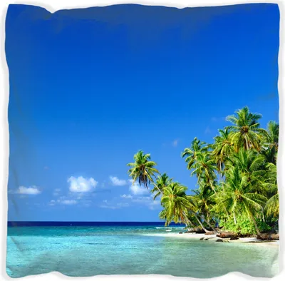 Produktbild von Wallario Premium Kissen, weiche Oberfläche, mit Motiv Blauer Himmel  weißer Strand  Palmen und das tiefblaue Meer, Größe: 60 x 60 cm, mit weißer Rückseite