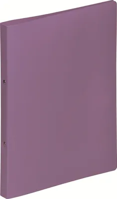 Produktbild von Pagna Ringbuch 20901-12 A4 16mm PP 2-Ring-Mechanik lila