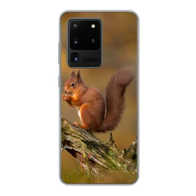Produktbild von MuchoWow® Handyhülle Schutzhülle Hülle für Samsung Galaxy S20 Ultra Eichhörnchen - Baumstamm - Wald Silikon Softcase Handy Hülle - Karteninhaber